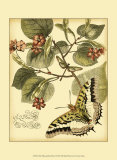 Whimsical Butterflies I Reprodukce