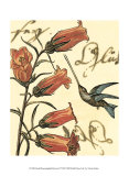 Hummingbird Reverie II Print Hummingbird Reverie II Print