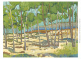 Western Vista I Prints by Chariklia Zarris