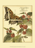 Whimsical Butterflies II Posters