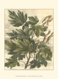Weathered Maple Leaves I Posters by Gerard Paul Deshayes