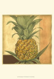 Golden Pineapple I Prints by Jennifer Goldberger