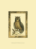 Majestic Perch II Poster