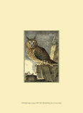 Night Guardian I Prints