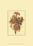 Romantic Bouquet II Prints Romantic Bouquet II Prints