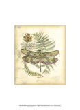 Regal Dragonfly IV Prints