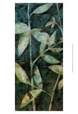 Mystic Reflections Panel I Prints by Megan Meagher Mystic Reflections Panel I Prints by Megan Meagher