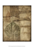 Custom Impressed on Patina I Posters by Nancy Slocum