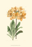 Golden Beauty II Affiches par Sydenham Teast Edwards