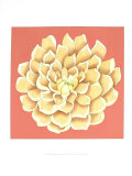 Brilliant Blossom III Prints by Chariklia Zarris