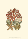 Coral Medley I Plakater