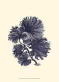 Indigo Kelp I Prints Indigo Kelp I Prints