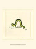 Green Inchworm Posters
