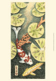 Koi Pond I Print by Chariklia Zarris