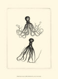 Sepia Octopus Umění Sepia Octopus Umění