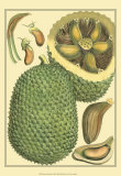 Exotic Melons II Prints