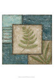 Fern Montage II Posters by Chariklia Zarris