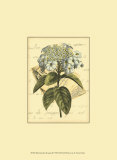 Romantic Bouquet III Posters Romantic Bouquet III Posters