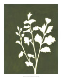 Four Seasons Foliage II Posters by Megan Meagher Four Seasons Foliage II Posters by Megan Meagher