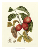 Island Fruits III Prints by Berthe Hoola Van Nooten