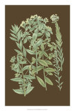 Organic Greenery I Posters by Johann Wilhelm Weinmann