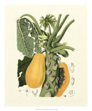 Island Fruits IV Posters by Berthe Hoola Van Nooten