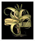 Dramatic Aloe I Posters par Basilius Besler