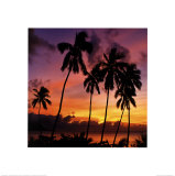 Fijian Sunset Posters