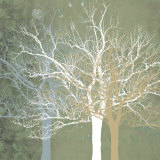 Quiet Forest Prints by Erin Clark