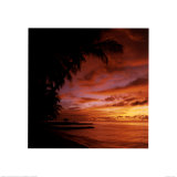 Tobago Print