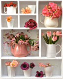 Casier Rose Affiches par Camille Soulayrol