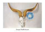 Ram's Head, Blue Morning Glory Láminas por Georgia O'Keeffe