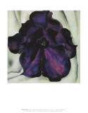 Purple Petunia Affiches par Georgia O'Keeffe