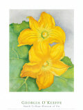 Squash Blossoms Poster par Georgia O'Keeffe