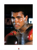 Muhammad Ali Posters Muhammad Ali Posters