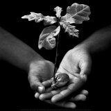 Offrande au Chene Prints by Stephane De Bourgies