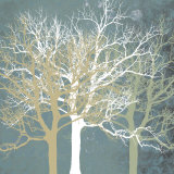 Tranquil Trees Prints by Erin Clark