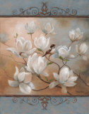 Magnolia Splendor Prints by Vivian Flasch