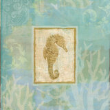 Seahorse I Láminas por John Zaccheo