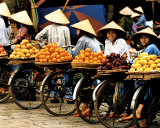 Vietnam Prints by Paul Chesley