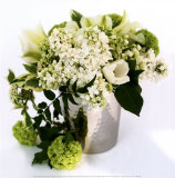 Catherine Beyler - Bouquet de Primtemps - Art Print Catherine Beyler - Bouquet de Primtemps - Art Print