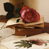 Rose sur Livres I Prints by Celine Sachs-jeantet