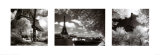 Eiffel Tower Triptych Prints