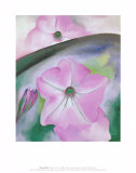 Petunia no. 2 Affiches par Georgia O'Keeffe