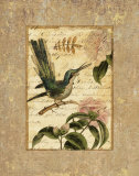 Collage Naturel II Art by Philippa 