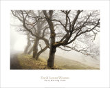 Early Morning Calm Arte por David Winston