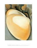 Tan Clam Shell Art par Georgia O'Keeffe