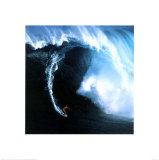 The Perfect Wave Posters
