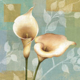 Lily Dream II Poster by Daphne Brissonnet Lily Dream II Poster by Daphne Brissonnet