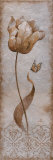 Tulip and Butterfly I Art by Nan